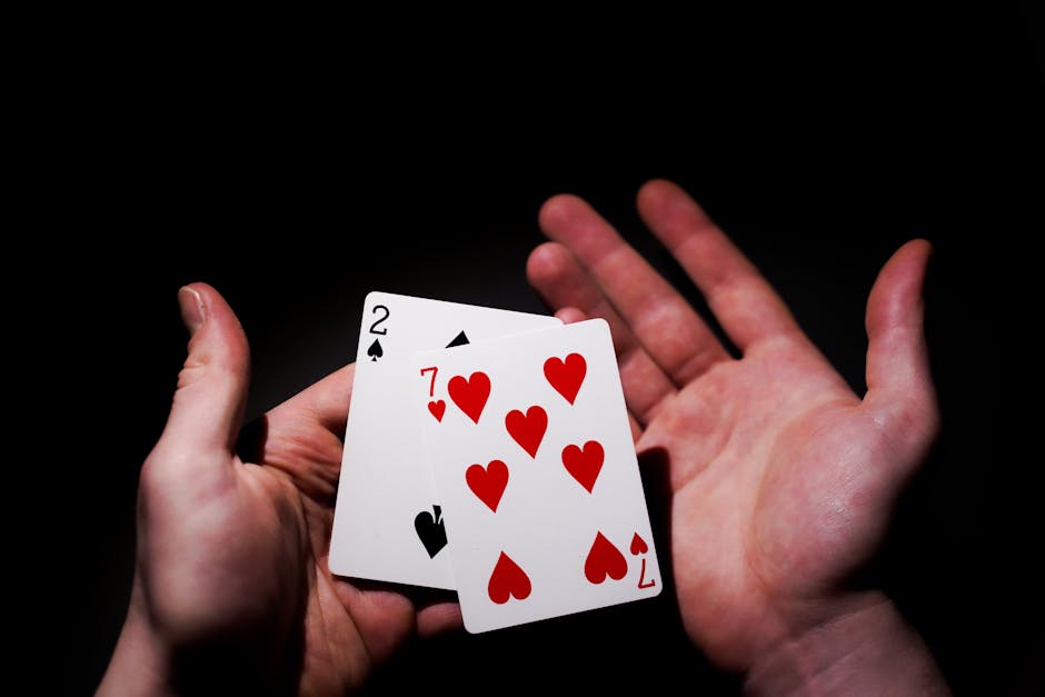Winning Features of PHLBoss88